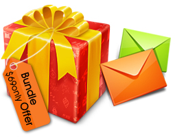Bulk SMS Professional Bundle