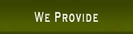 We Provide